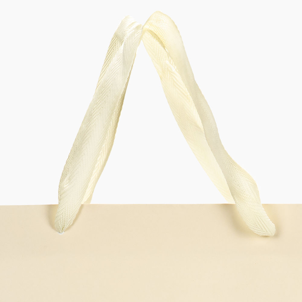 Sacola em Papel Personalizado em Silk - Premium