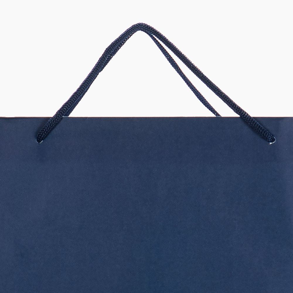 Sacola em Papel Personalizado em Silk - Basic