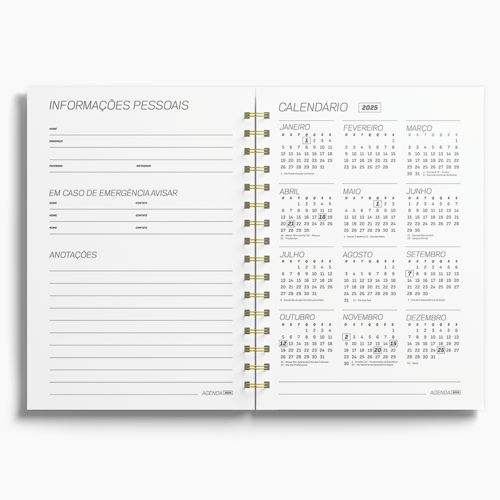 Agenda Premium Diária Salmon Floral