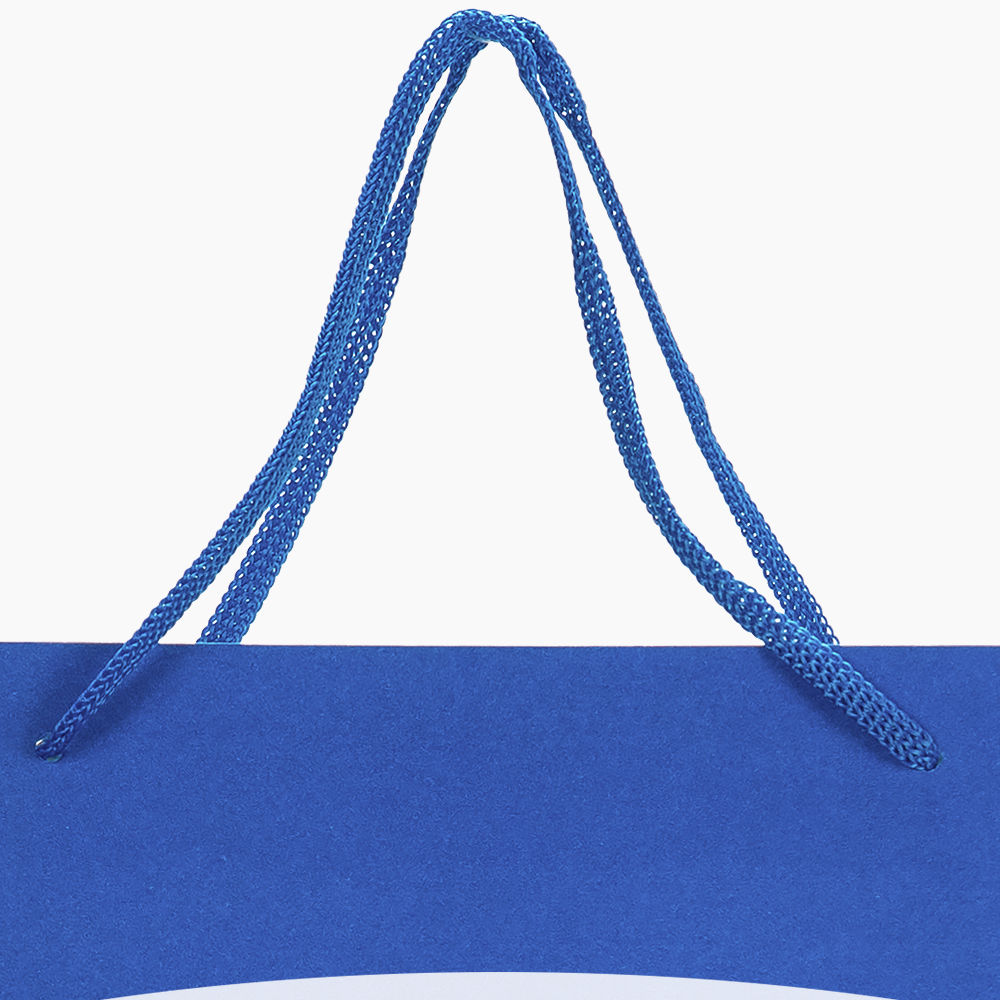 Sacola em Papel Personalizado em Silk - Basic