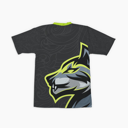 Camiseta Dry Fit Juvenil