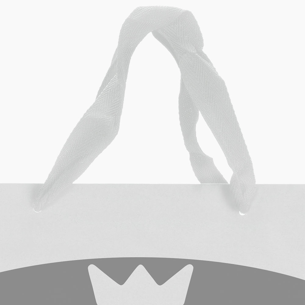 Sacola em Papel Personalizado em Silk - Premium