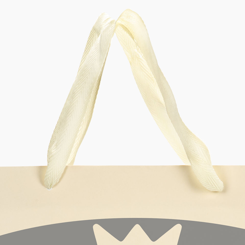 Sacola em Papel Personalizado em Silk - Premium