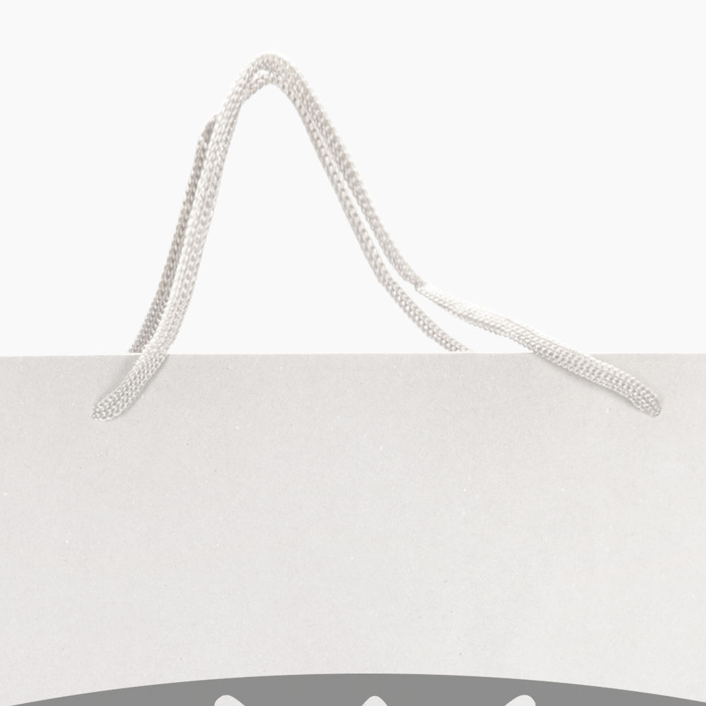 Sacola em Papel Personalizado em Silk - Basic