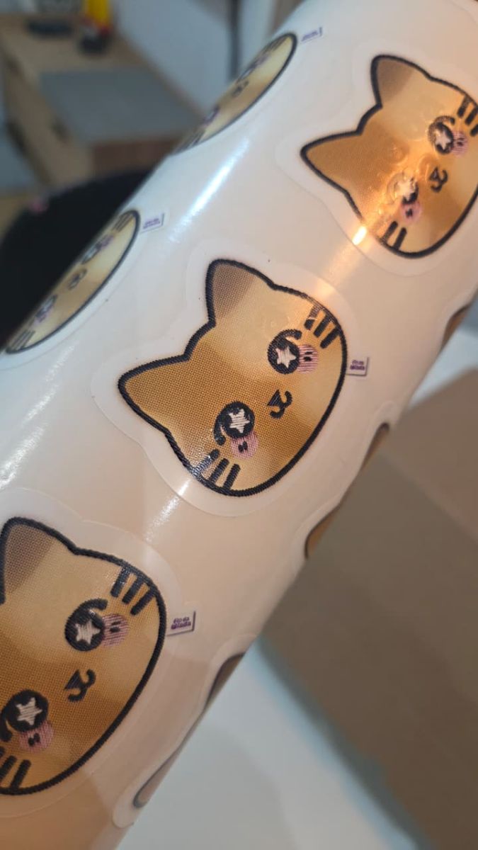 Foto enviada pelo cliente