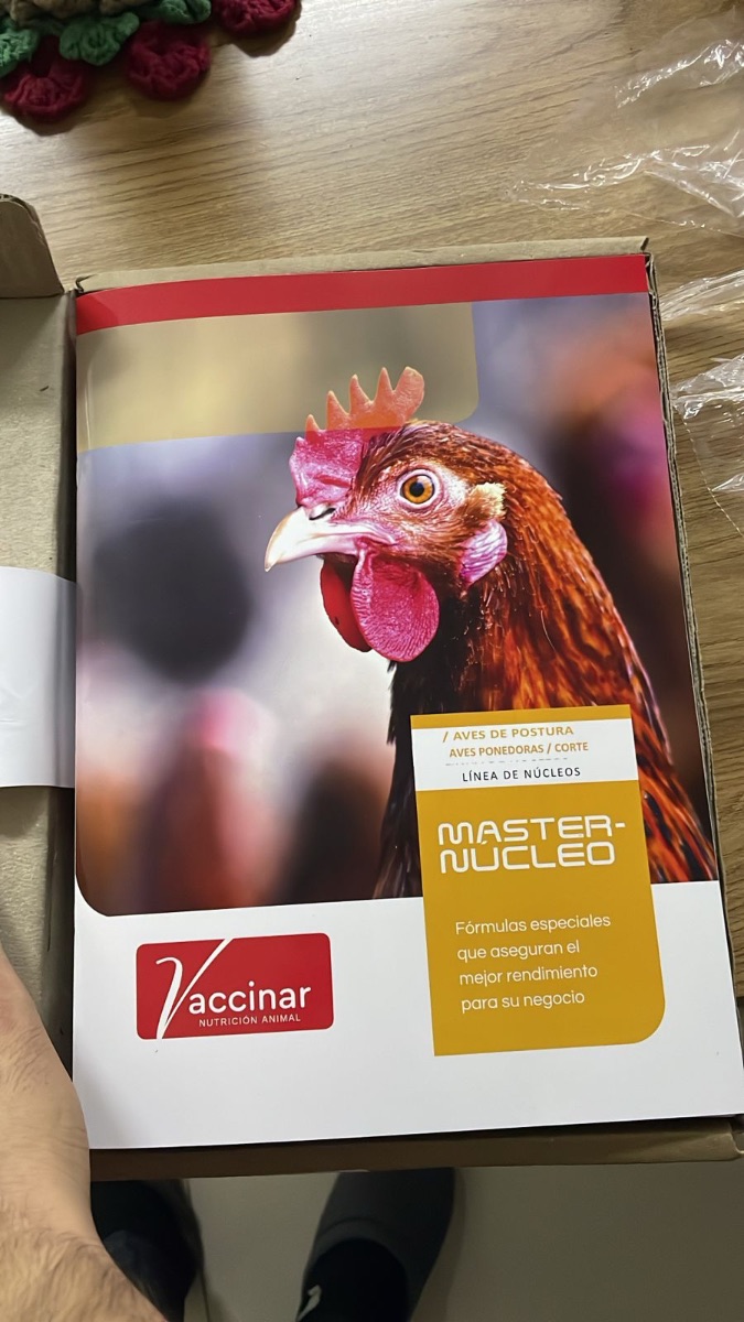 Imagem enviada pelo cliente