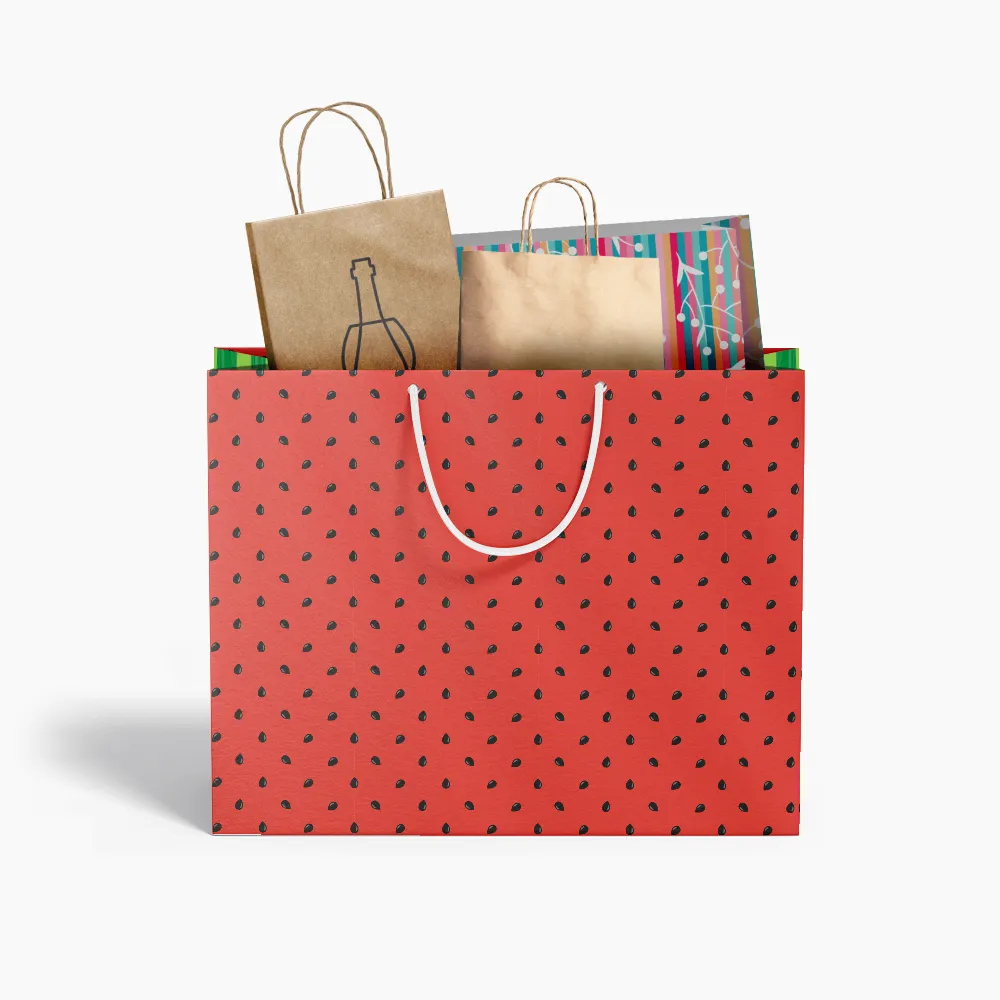 Kit de Amostra Sacolas em Papel