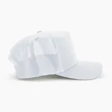 Boné Aba Curva Trucker Liso