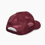 Boné Aba Curva Trucker Liso