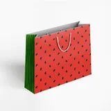 Sacola de Papel a Pronta Entrega Melancia