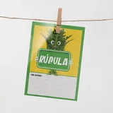 Plaquinha de Preço hortifrúti 
