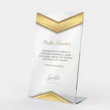 Troféu em Acrílico Personalizado