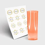 Copo Long Drink 350ml sem Tampa e 1 Folha A3 DTF-UV