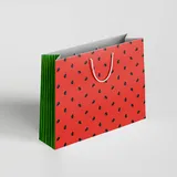 Sacola de Papel a Pronta Entrega Melancia