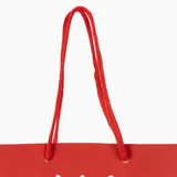 Sacola em Papel Personalizado em Silk - Basic