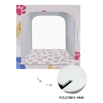 Display Expositor