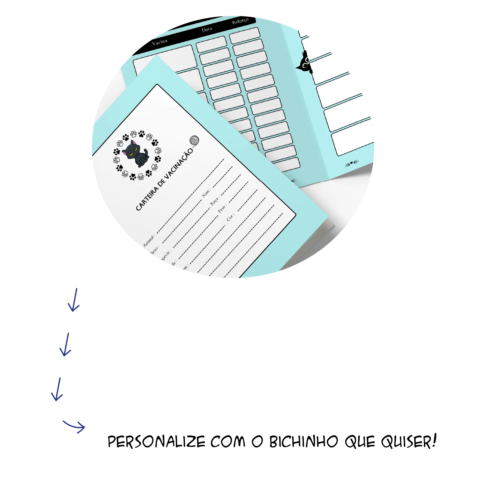 carteira de vacina pet