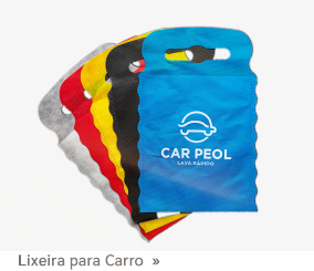 Lixeira para Carro