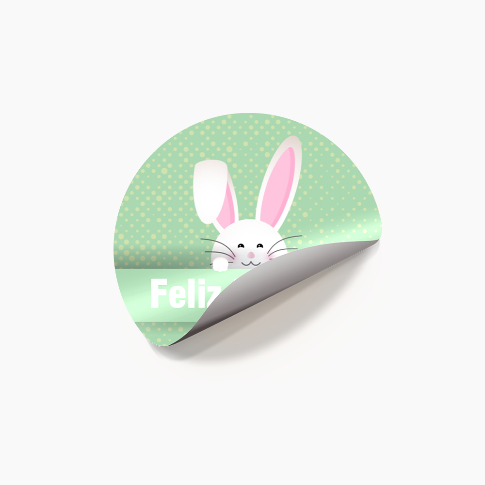 Adesivo Modelo Pronto